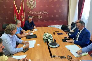 Damjanović: Definisati legislativni okvir koji će postaviti bazu...