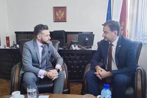 Radovanić: Crna Gora podržava spoljnopolitičke aspiracije Ukrajine