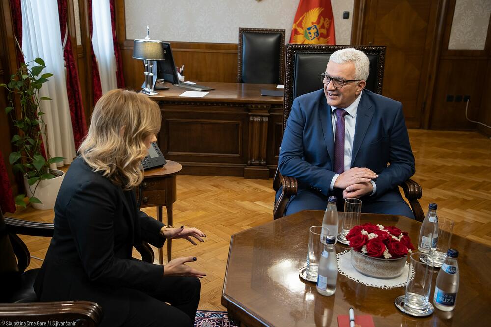 <p>Mandić je razgovarao sa otpravnicom poslova Ambasade Srbije u Crnoj Gori Jelisavetom Čolanović</p>
