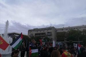 "Skup podrške i marš mira za Palestinu" u Podgorici: "Vlada da...