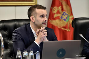 Spajić pozdravio akcije SDT-a i SPO-a: Ne smije biti povlašćenih