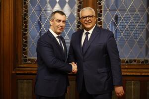 Mandić - Orlić: Saradnja dva parlamenta odlična