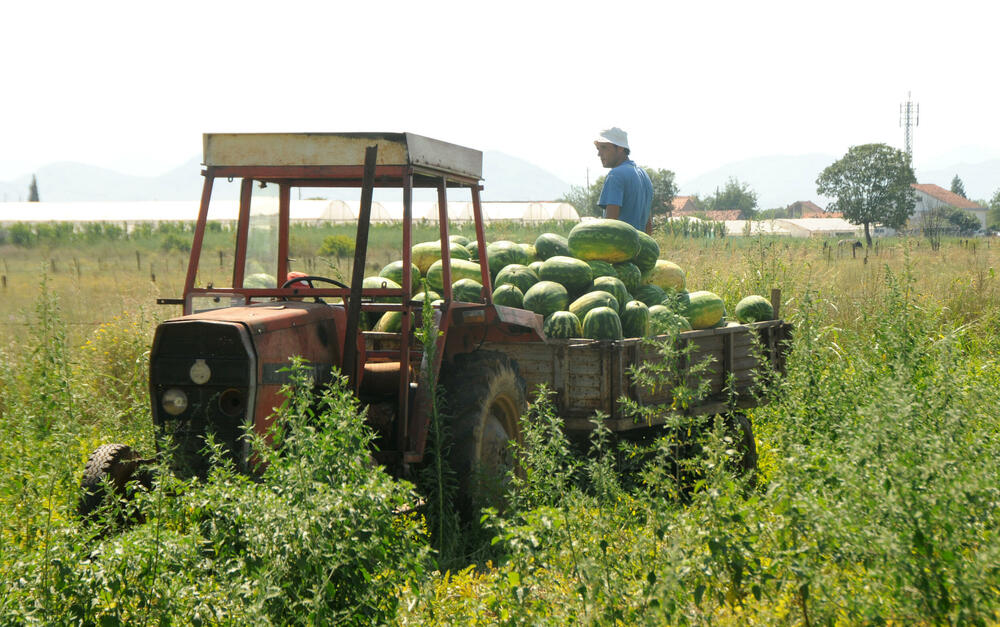 montenegro has big potential in agriculture