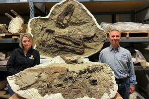Naučnici otkrili šta je posljednje jeo tiranosaurus