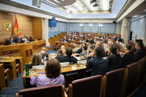 Poslanici predložili formiranje Odbora za izbornu reformu