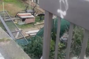 Budva: Polomljena zaštitna ograda na bulevaru, Opština obećala...