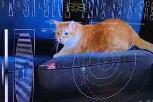 NASA emitovala video mačke iz dubokog svemira prenijet laserom