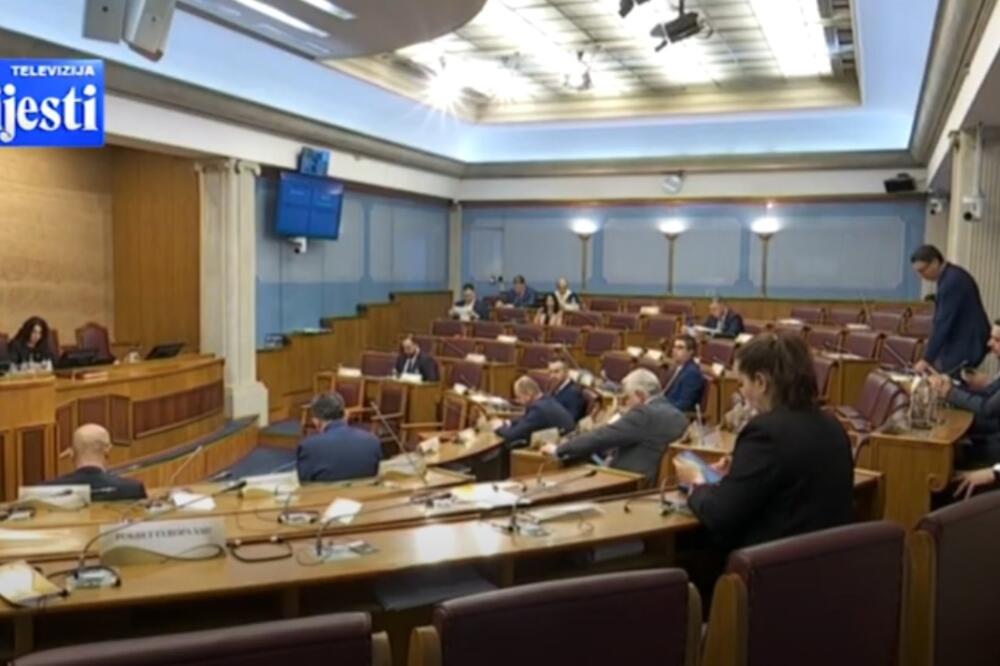 detalj tokom rasprave u Skupštinio, Foto: Screenshot/TV Vijesti