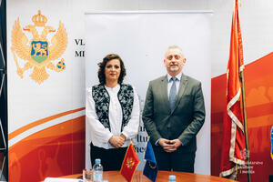 Miler: Za Crnu Goru je značajno brzo usvajanje medijskih zakona