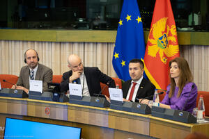 Bilčik: Crna Gora uspjela da potvrdi povjerenje evropskih partnera