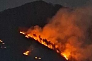 Kolašin: Požar zahvatio oko hektar šume na prostoru Bukovičkog...