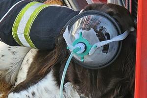 Zagrebački vatrogasci nabavili maske za kiseonik za pse i mačke