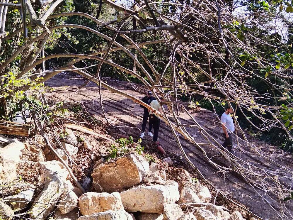 <p>Predsjednik MZ "Sveti Stefan" Vladislav Mitrović kazao je "Vijestima" da se mještani protive devastiranju prostora, jer je kamena staza sa stepenicima, koja je vodila kroz šumu, uništena, a odsječena su borova stabla i masline</p>