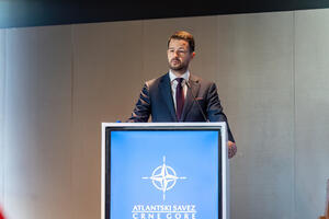 Milatović: NATO temelj bezbjednosti za sve članice, spremnost...