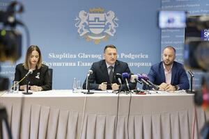 Grnović: Prilika za izdavaoce smještaja da unaprijede, legalizuju...
