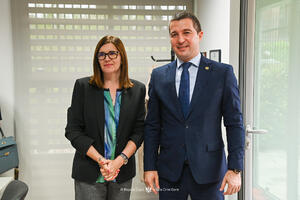 Delegacija EU u Crnoj Gori: Politička stabilnost presudna za...