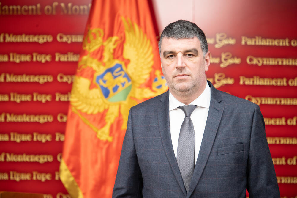 Zečević: Danilovića ne treba da brine povratak DPS-a na vlast, ako...