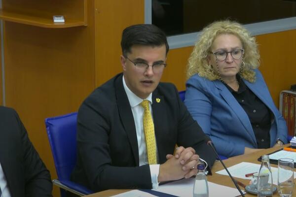 Šaranović: Smanjenje kazne osuđenom za silovanje mora da ima jak...