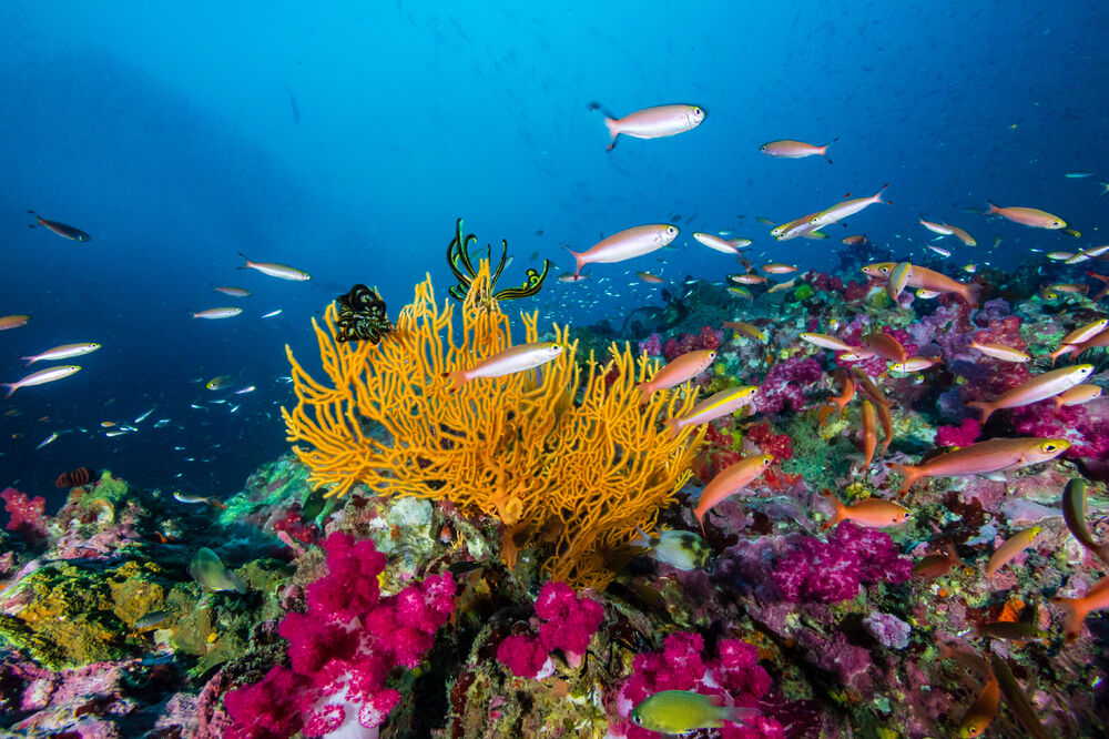 Ilustracija, Foto: Shutterstock