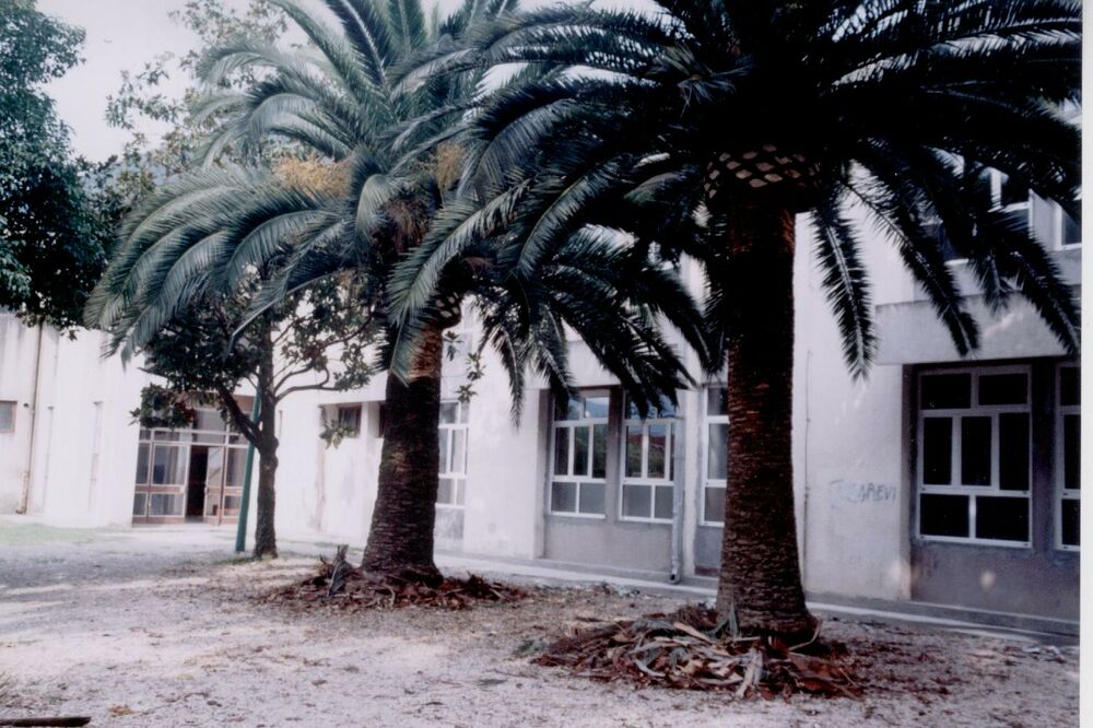 OŠ "Orjenski bataljon", Foto: Slavica Kosić