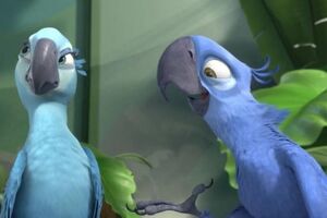 Papagaj iz animiranog filma "Rio" zvanično izumrla vrsta
