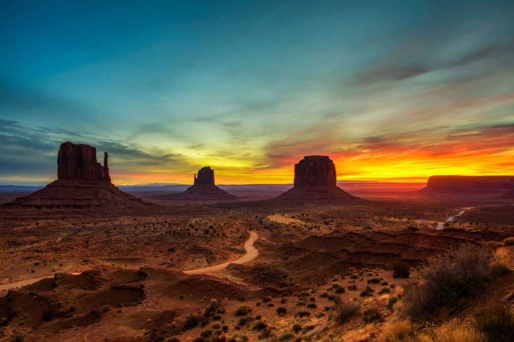 Arizona, pustinja, Foto: Shutterstock