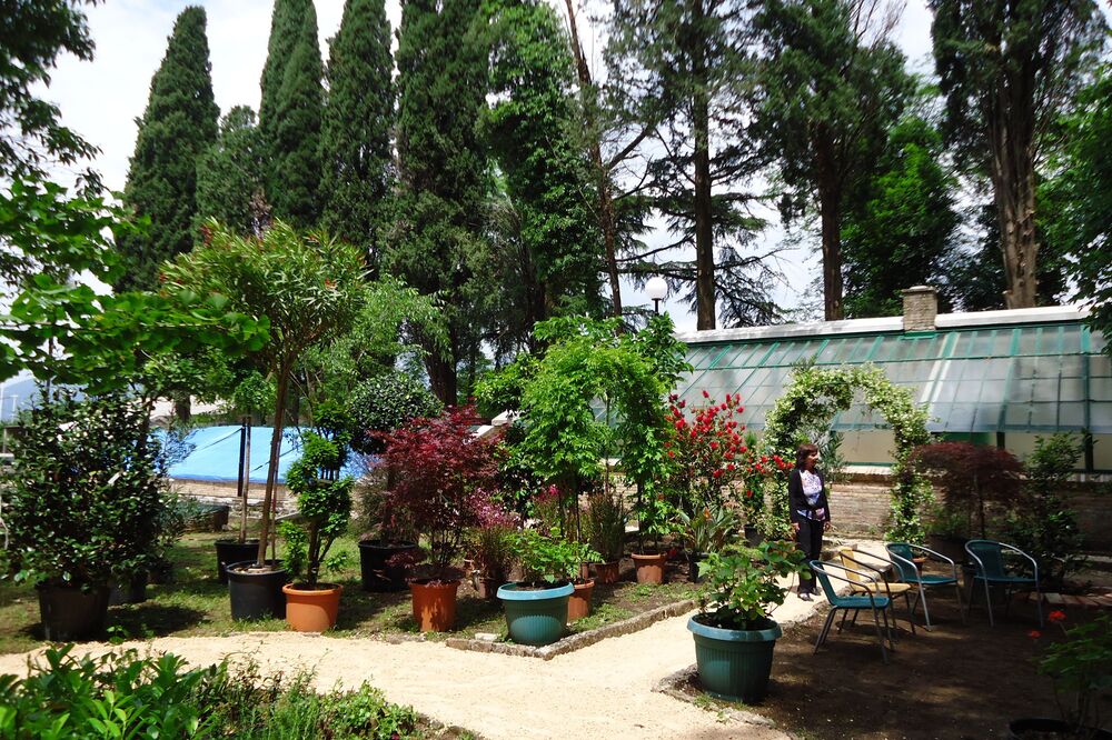 Gradski park Tivat, Foto: Siniša Luković