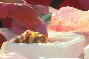 Kad se napravi fešta u Južnoj Koreji: Kuvaju kupus za ugrožene...