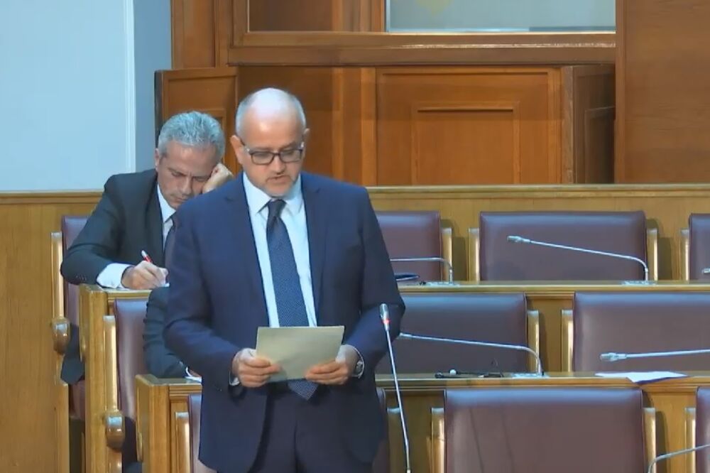 Srđan Darmanović, Foto: Screenshot (YouTube)