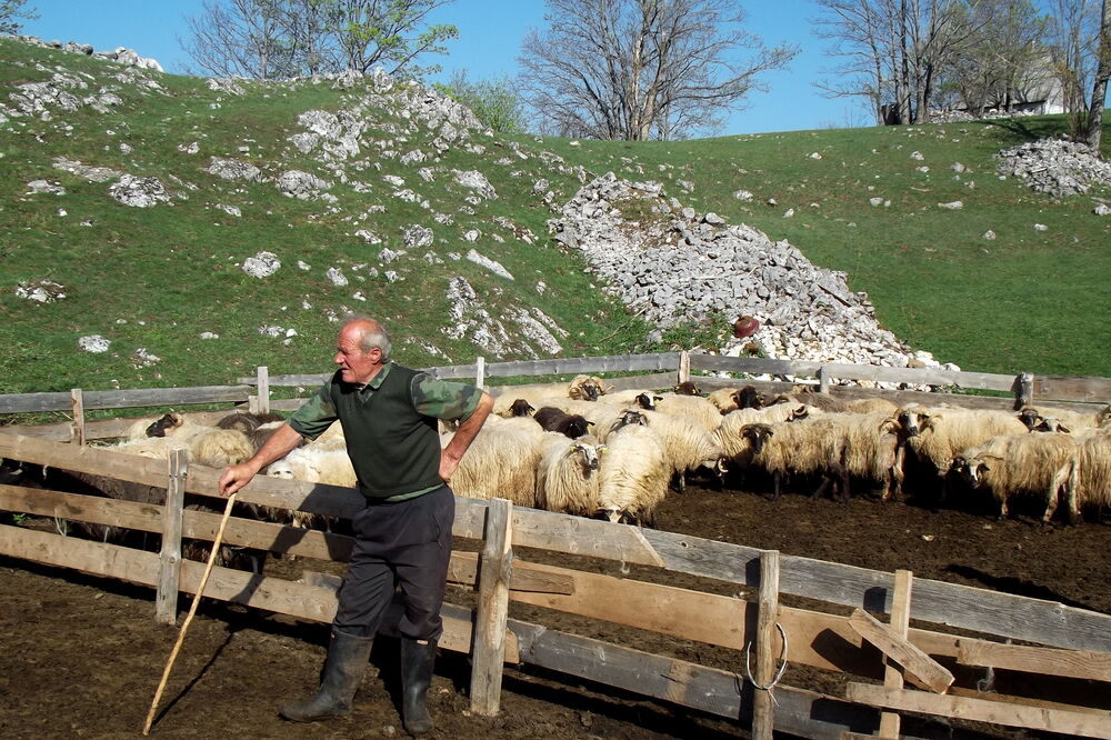 Slobodan Dakić, Foto: Obrad Pješivac