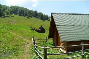 Zašto su pusta crnogorska sela
