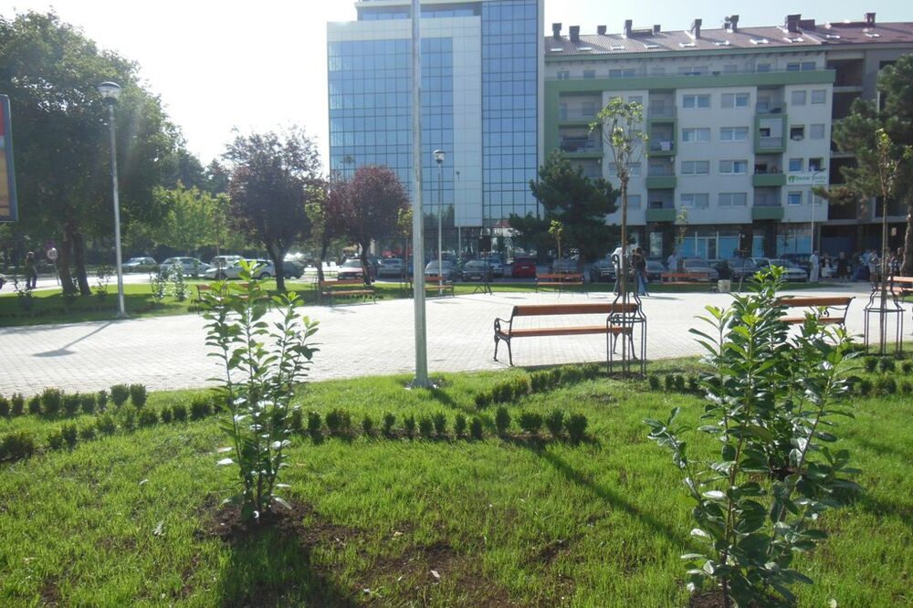 Trg Save Kovačevića, Foto: Svetlana Mandić