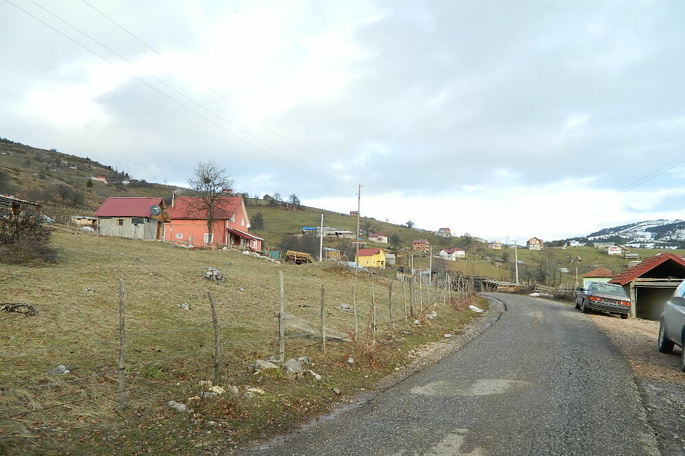 Savin bor, Foto: Tufik Softić