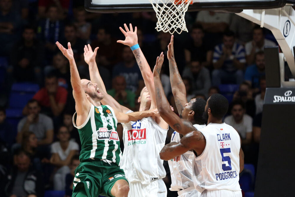 budućnost panatinaikos, Foto: Filip Roganović
