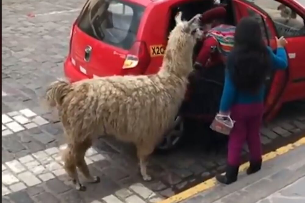 taksi Peru, Foto: Screenshot