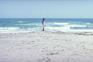 Kitano Takeshi: Violentna ekspresija