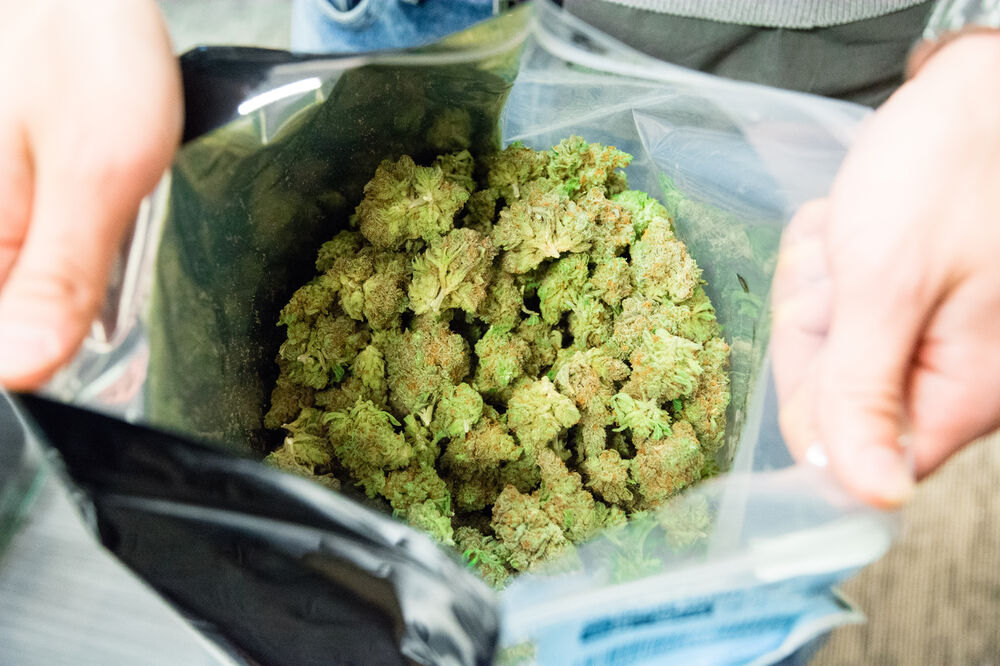 Marihuana, ilustracija, Foto: Shutterstock