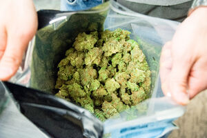 Uhapšen državljanin Crne Gore: Pokušao da unese kilogram marihuane...