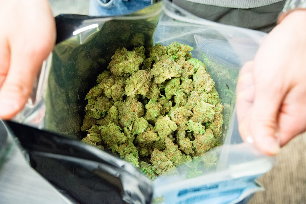 Marihuana, Foto: Shutterstock