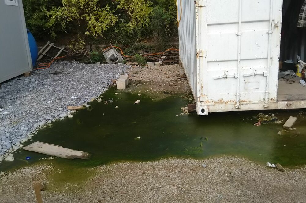 fekalije portonovi, Foto: Privatna arhiva