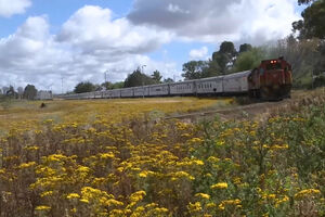 Pokretna bolnica: Ovaj voz nije kao svaki drugi...