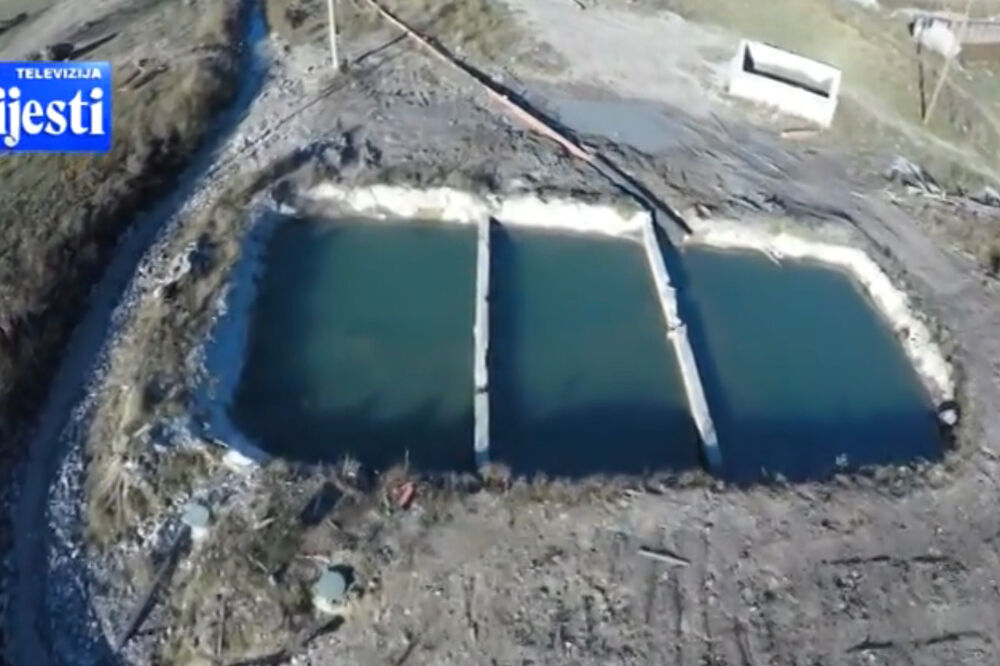 MANS, Tara, Foto: Printscreen (TV Vijesti)