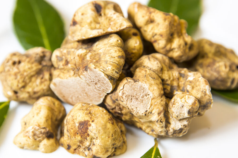 Tartufi, Foto: Shutterstock