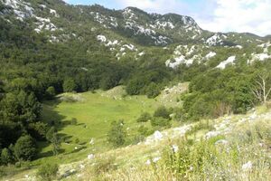 Otpad bokeljskih opština u Novom?