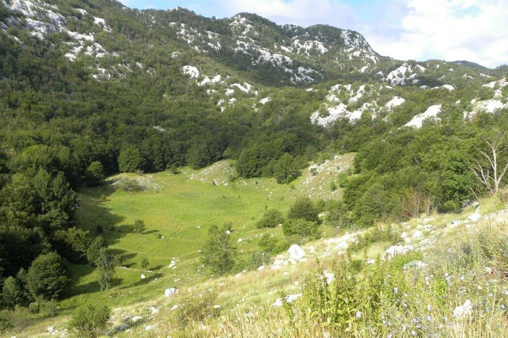 Duboki do, Foto: Slavica Kosić