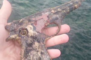 VIDEO PRIČA Kad je nečije smeće nekom drugom blago