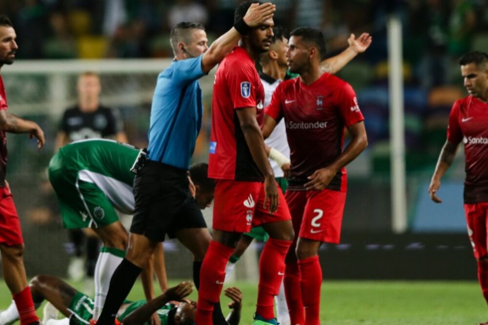 afriko, Foto: JM Madeira