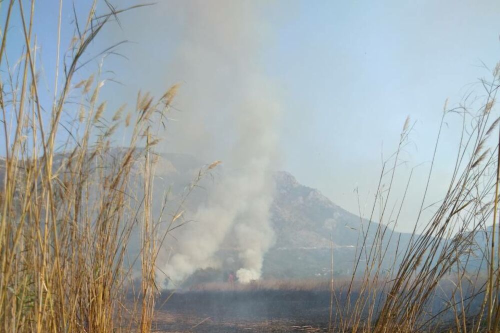 Ilustracija/Arhiva/Požar u Buljarici, Foto: CZIP