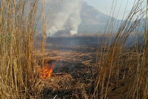 Zapaljena oprema mađarskih ornitologa u Buljarici
