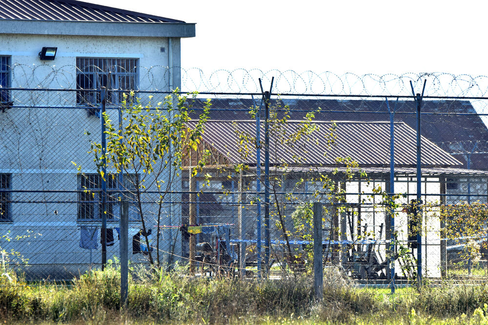 ZIKS, Foto: Boris Pejović